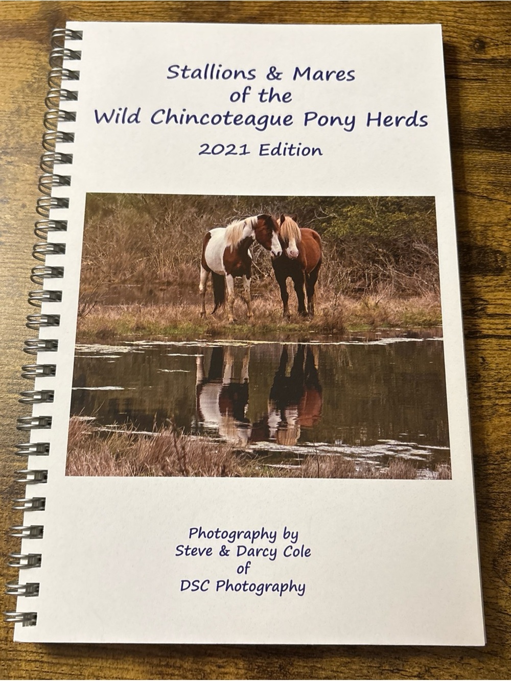 Stallions & Mares Of The Chincoteague Wild Ponies 2021 Edition - DSC Photography